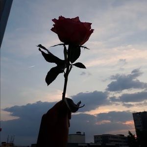 Meet your Posher, Gabriel